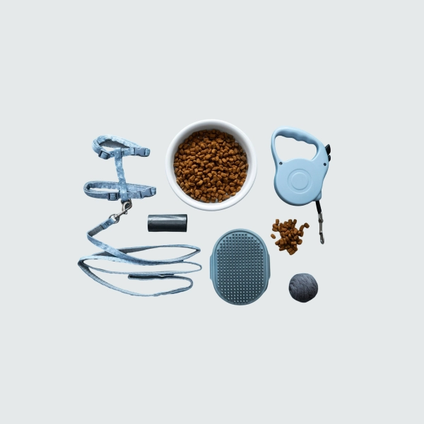 accessories1(9)