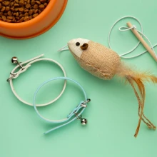 pet29