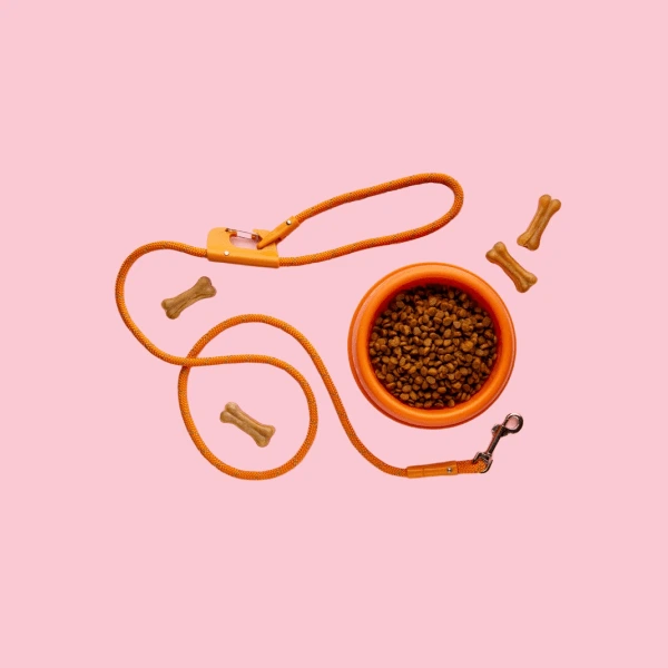 belt4